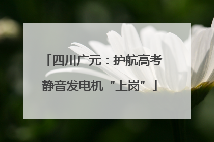 四川广元：护航高考 静音发电机“上岗”