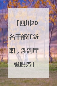 四川20名干部任新职，涉副厅级职务