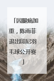 因腿痛加重，陈雨菲退出印尼羽毛球公开赛
