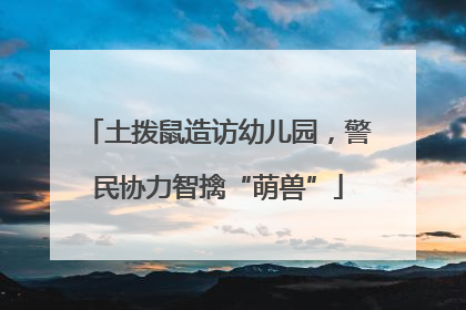 土拨鼠造访幼儿园，警民协力智擒“萌兽”