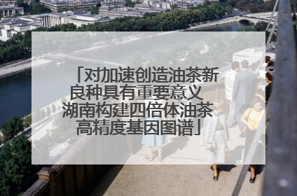 对加速创造油茶新良种具有重要意义 湖南构建四倍体油茶高精度基因图谱