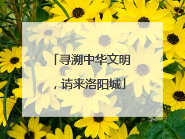 寻溯中华文明，请来洛阳城