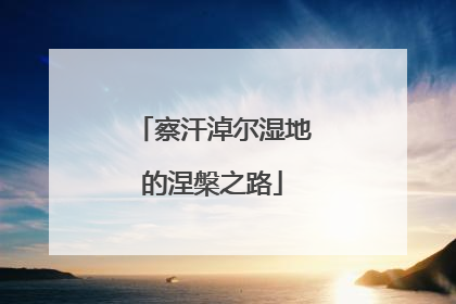 察汗淖尔湿地的涅槃之路