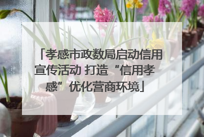 孝感市政数局启动信用宣传活动 打造“信用孝感”优化营商环境