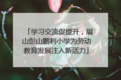 学习交流促提升，眉山彭山鹏利小学为劳动教育发展注入新活力