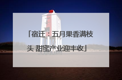 宿迁：五月果香满枝头 甜蜜产业迎丰收