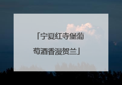 宁夏红寺堡葡萄酒香漫贺兰
