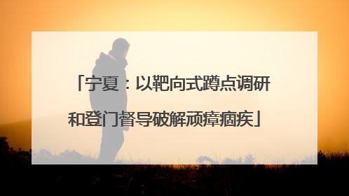 宁夏：以靶向式蹲点调研和登门督导破解顽瘴痼疾