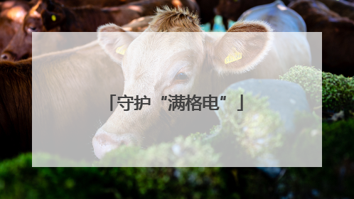 守护“满格电”