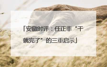 安徽时评：任正非“干就完了”的三重启示