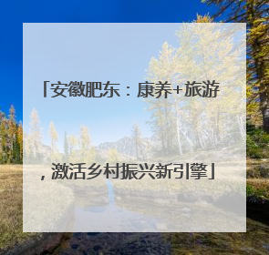 安徽肥东：康养+旅游，激活乡村振兴新引擎