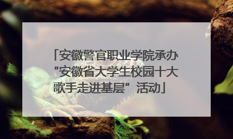 安徽警官职业学院承办“安徽省大学生校园十大歌手走进基层”活动