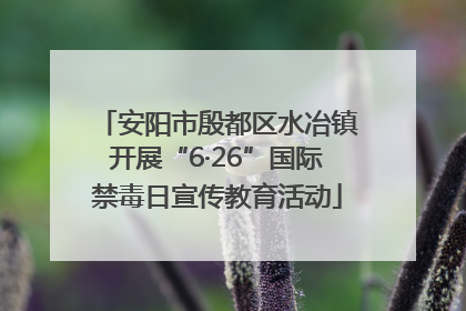 安阳市殷都区水冶镇开展“6·26”国际禁毒日宣传教育活动