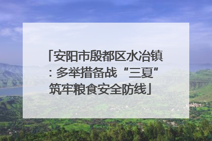 安阳市殷都区水冶镇：多举措备战“三夏” 筑牢粮食安全防线