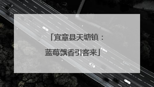宜章县天塘镇：蓝莓飘香引客来