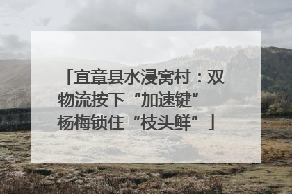宜章县水浸窝村：双物流按下“加速键” 杨梅锁住“枝头鲜”