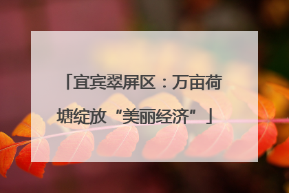 宜宾翠屏区：万亩荷塘绽放“美丽经济”