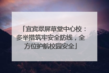 宜宾翠屏草堂中心校：多举措筑牢安全防线，全方位护航校园安全