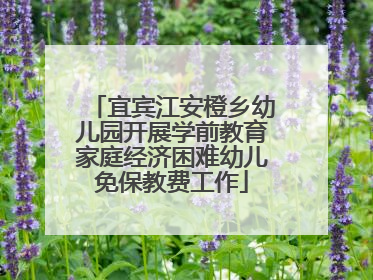 宜宾江安橙乡幼儿园开展学前教育家庭经济困难幼儿免保教费工作