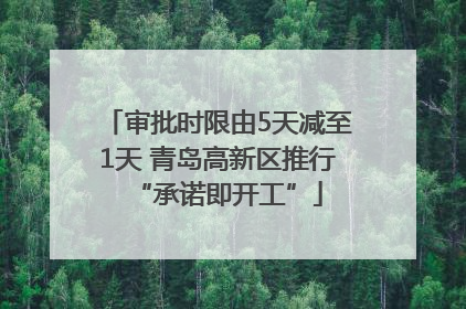 审批时限由5天减至1天 青岛高新区推行“承诺即开工”