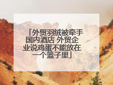 外贸羽绒被牵手国内酒店 外贸企业说鸡蛋不能放在一个篮子里