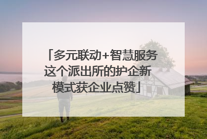 多元联动+智慧服务 这个派出所的护企新模式获企业点赞