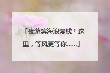 夜游滨海浪漫线！这里，等风更等你……