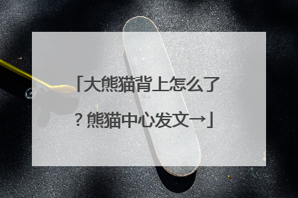 大熊猫背上怎么了？熊猫中心发文→