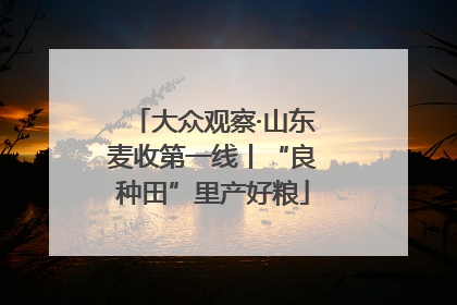 大众观察·山东麦收第一线丨“良种田”里产好粮