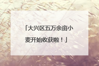 大兴区五万余亩小麦开始收获啦！