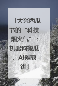 大兴西瓜节的“科技烟火气”：机器狗搬瓜、AI摊煎饼