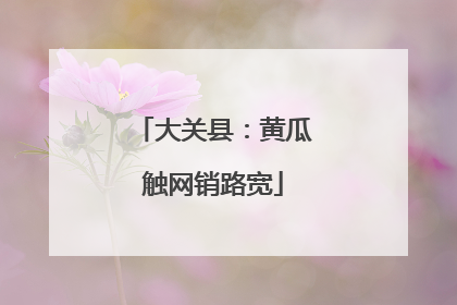 大关县：黄瓜触网销路宽