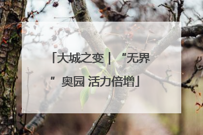 大城之变｜“无界”奥园 活力倍增