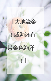 大地流金！威海还有片金色海洋！