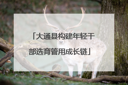 大通县构建年轻干部选育管用成长链