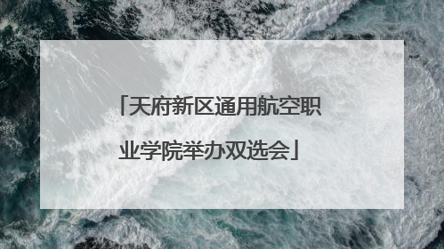 天府新区通用航空职业学院举办双选会