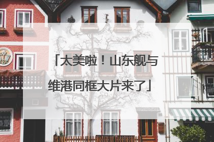太美啦！山东舰与维港同框大片来了