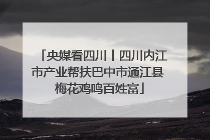 央媒看四川丨四川内江市产业帮扶巴中市通江县 梅花鸡鸣百姓富