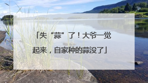 失“蒜”了！大爷一觉起来，自家种的蒜没了