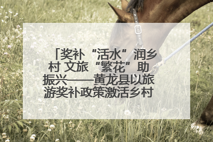 奖补“活水”润乡村 文旅“繁花”助振兴——黄龙县以旅游奖补政策激活乡村振兴新动能