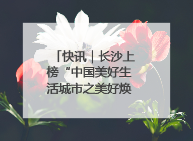 快讯｜长沙上榜“中国美好生活城市之美好焕新典范城市”