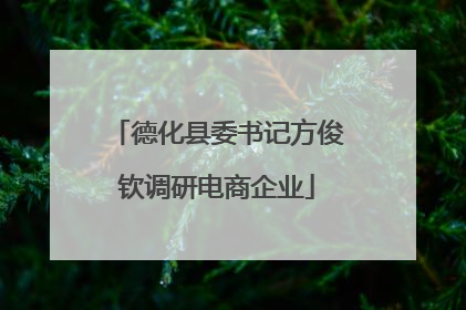 德化县委书记方俊钦调研电商企业