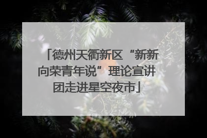 德州天衢新区“新新向荣青年说”理论宣讲团走进星空夜市