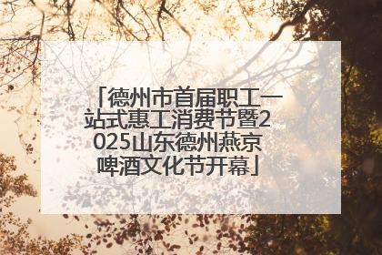 德州市首届职工一站式惠工消费节暨2025山东德州燕京啤酒文化节开幕