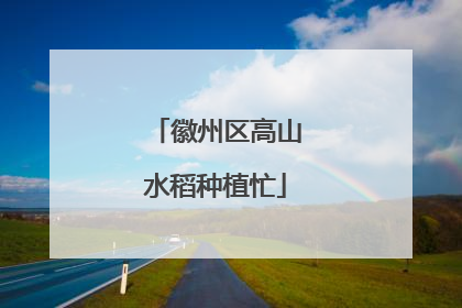 徽州区高山水稻种植忙