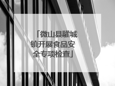 微山县驩城镇开展食品安全专项检查