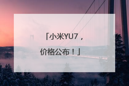 小米YU7，价格公布！