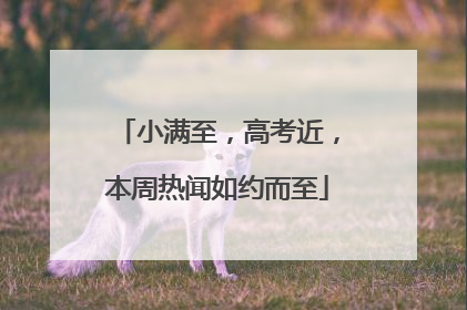 小满至，高考近，本周热闻如约而至