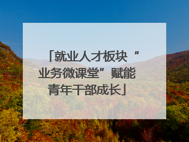 就业人才板块“业务微课堂”赋能青年干部成长