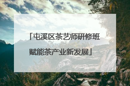 屯溪区茶艺师研修班赋能茶产业新发展